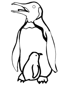 Desenho de Pinguim Desenho Colorir Imprimir 28