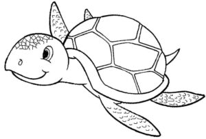 Desenho de Tartaruga Desenho Colorir Imprimir 13