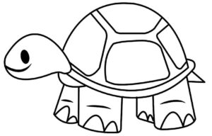 Desenho de Tartaruga Desenho Colorir Imprimir 15