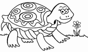 Desenho de Tartaruga Desenho Colorir Imprimir 18