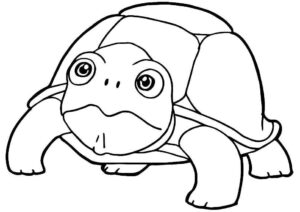Desenho de Tartaruga Desenho Colorir Imprimir 45