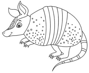 Desenho de Tatu Desenho Colorir Imprimir 17