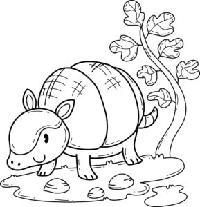 Desenho de Tatu Desenho Colorir Imprimir 18