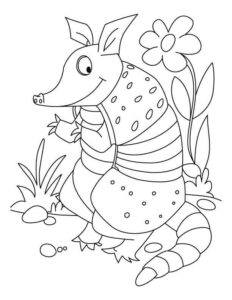 Desenho de Tatu Desenho Colorir Imprimir 22