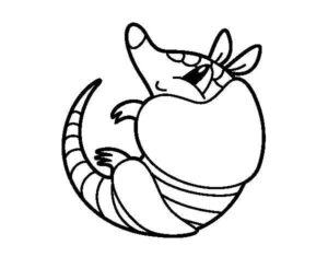 Desenho de Tatu Desenho Colorir Imprimir 23
