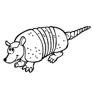 Desenho de Tatu Desenho Colorir Imprimir 24