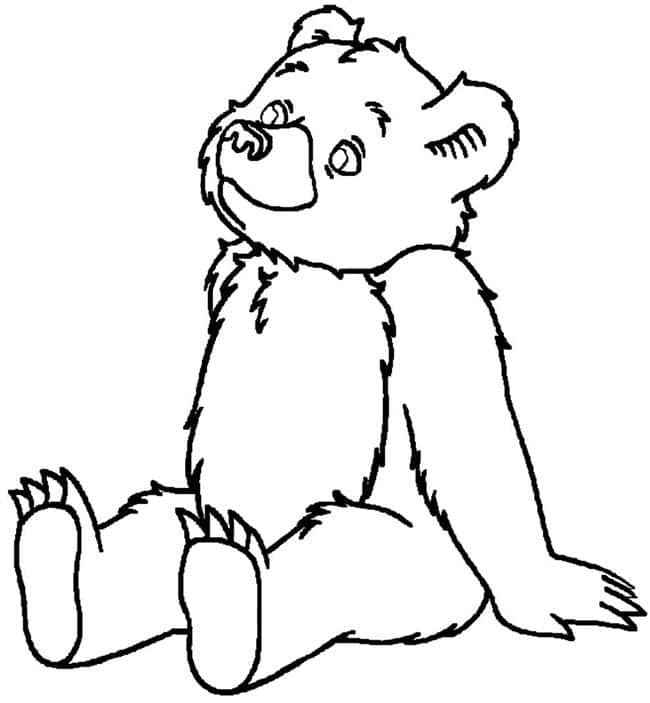 Desenho de Urso Desenho Colorir Imprimir 014