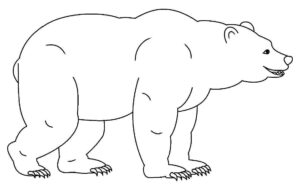Desenho de Urso Desenho Colorir Imprimir 019