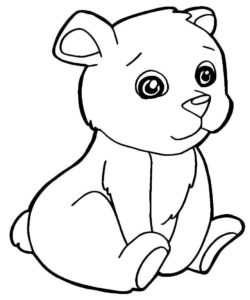 Desenho de Urso Desenho Colorir Imprimir 023