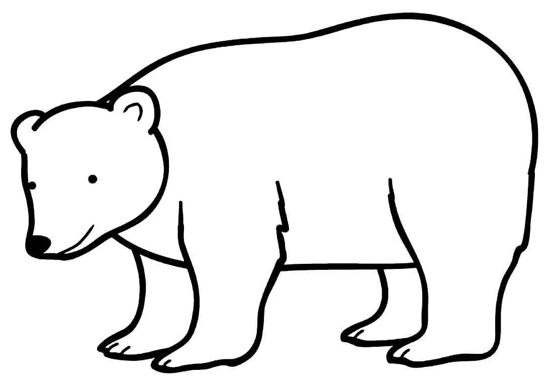 Desenho de Urso Desenho Colorir Imprimir 024