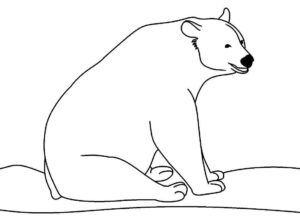 Desenho de Urso Desenho Colorir Imprimir 025