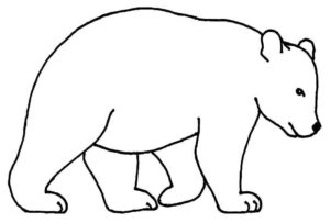 Desenho de Urso Desenho Colorir Imprimir 026