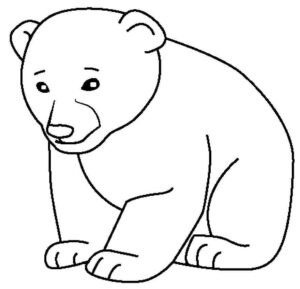 Desenho de Urso Desenho Colorir Imprimir 027
