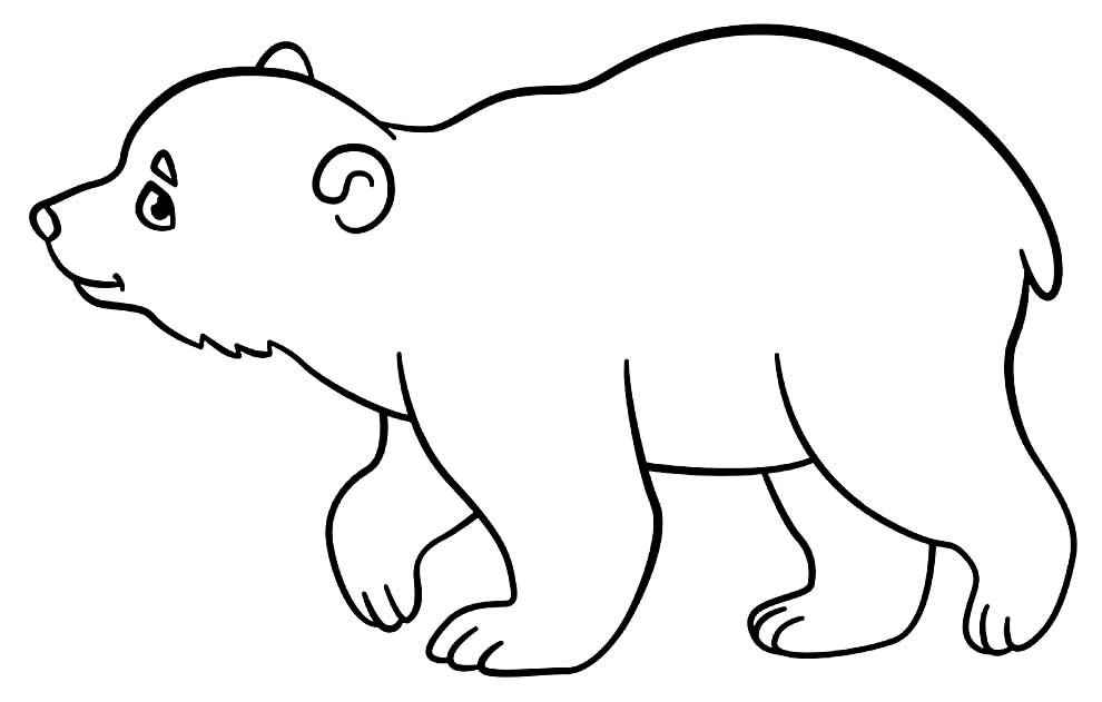 Desenho de Urso Desenho Colorir Imprimir 028