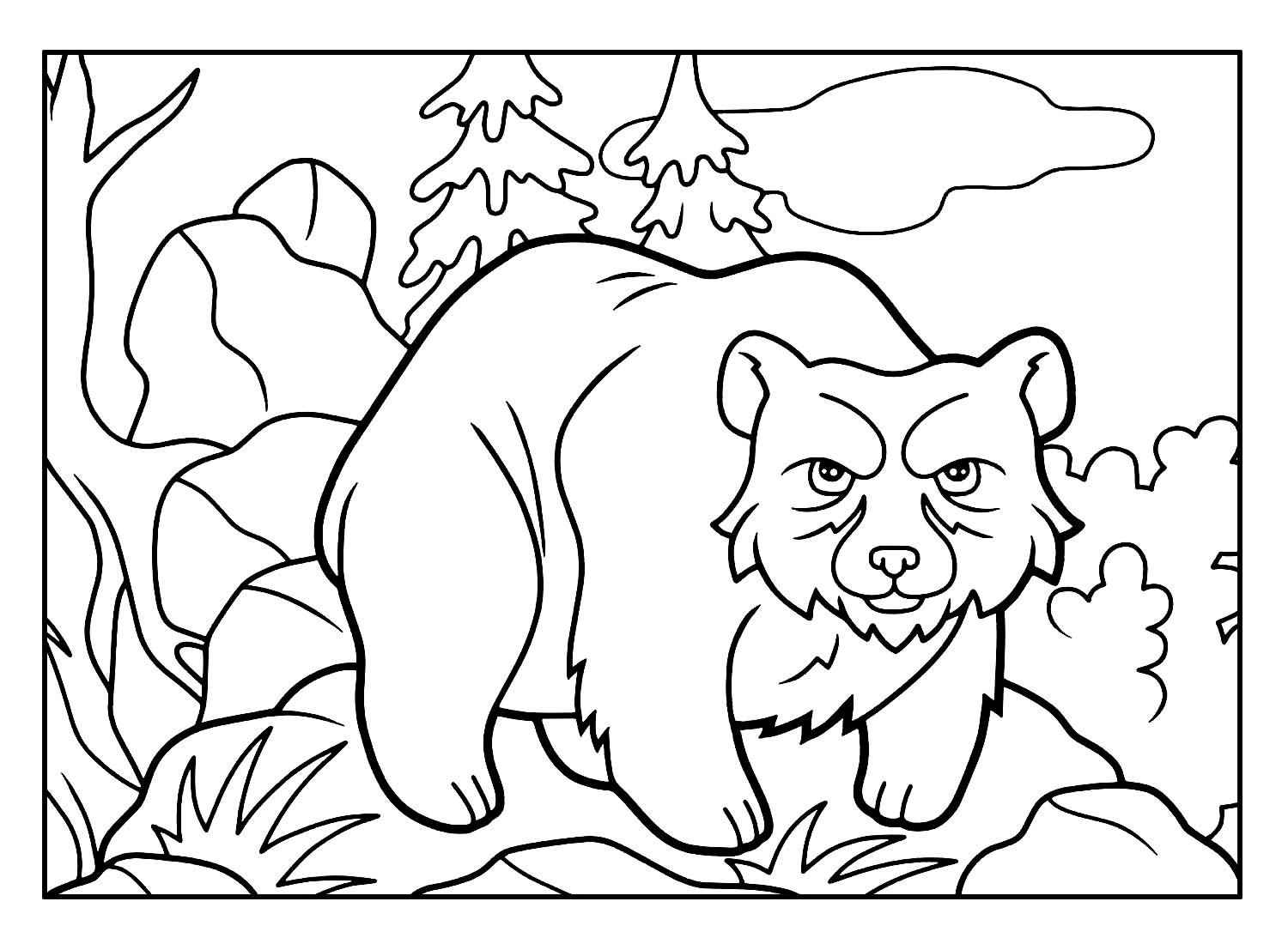 Desenho de Urso Desenho Colorir Imprimir 031