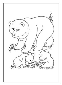 Desenho de Urso Desenho Colorir Imprimir 035