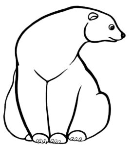 Desenho de Urso Desenho Colorir Imprimir 036