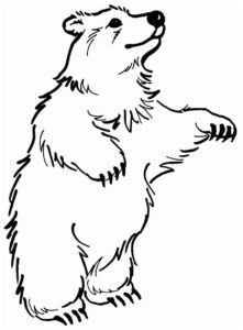 Desenho de Urso Desenho Colorir Imprimir 037