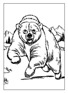 Desenho de Urso Desenho Colorir Imprimir 039