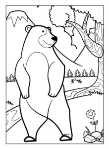 Desenho de Urso Desenho Colorir Imprimir 040
