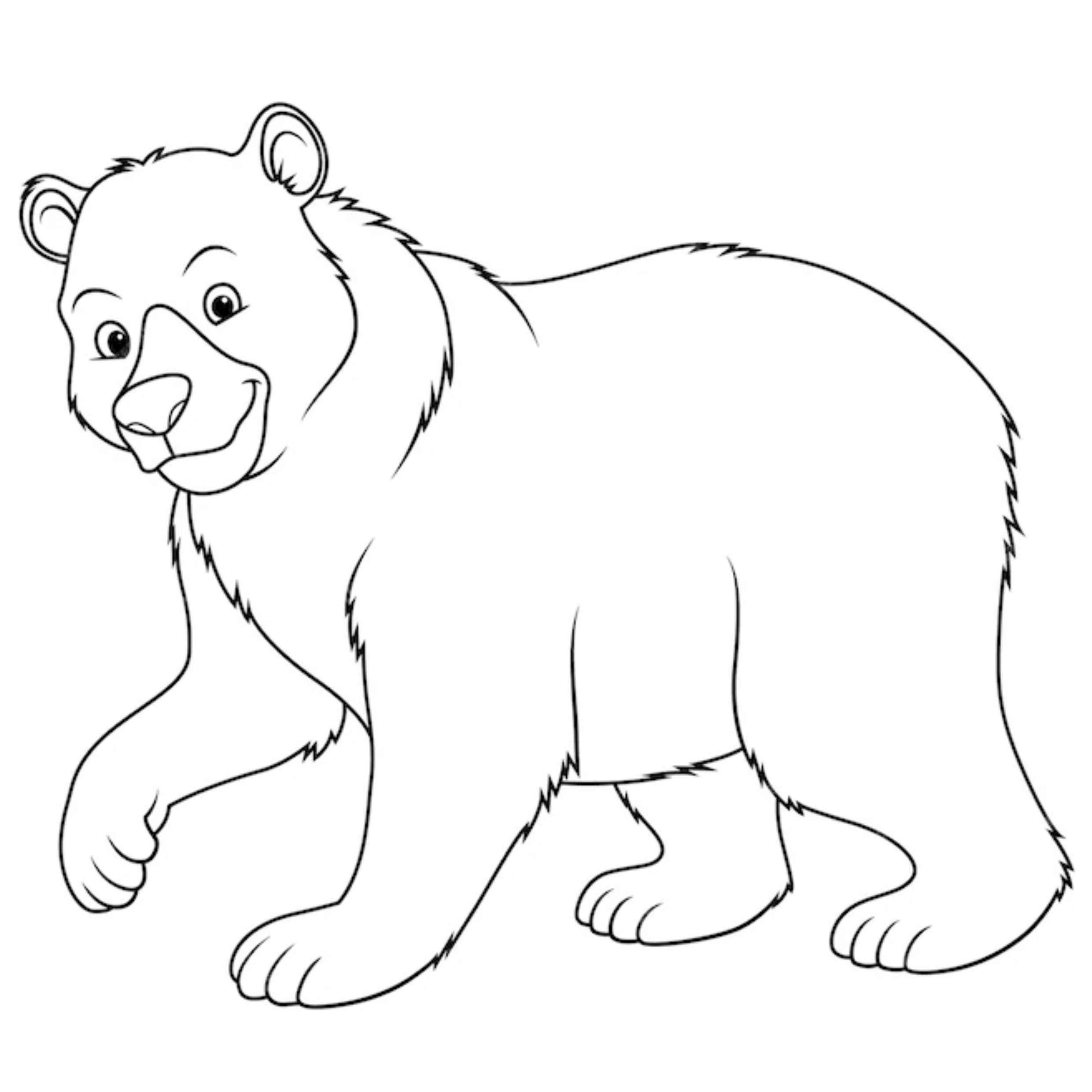 Desenho de Urso Desenho Colorir Imprimir 061
