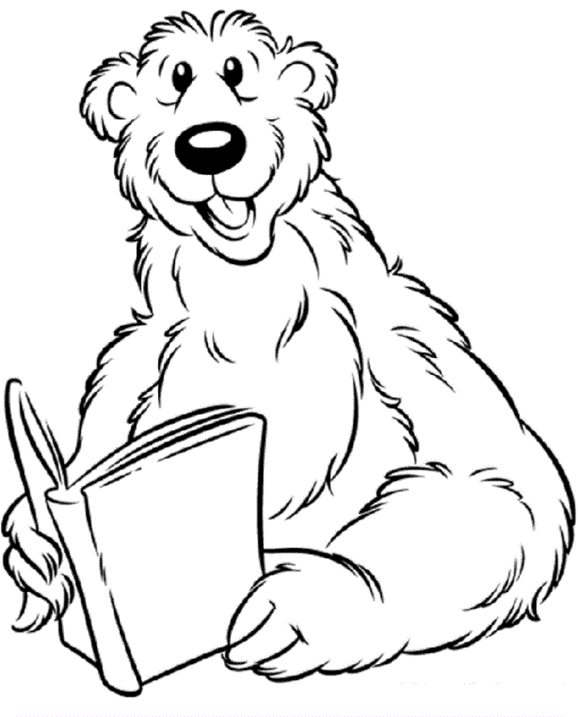 Desenho de Urso Desenho Colorir Imprimir 064