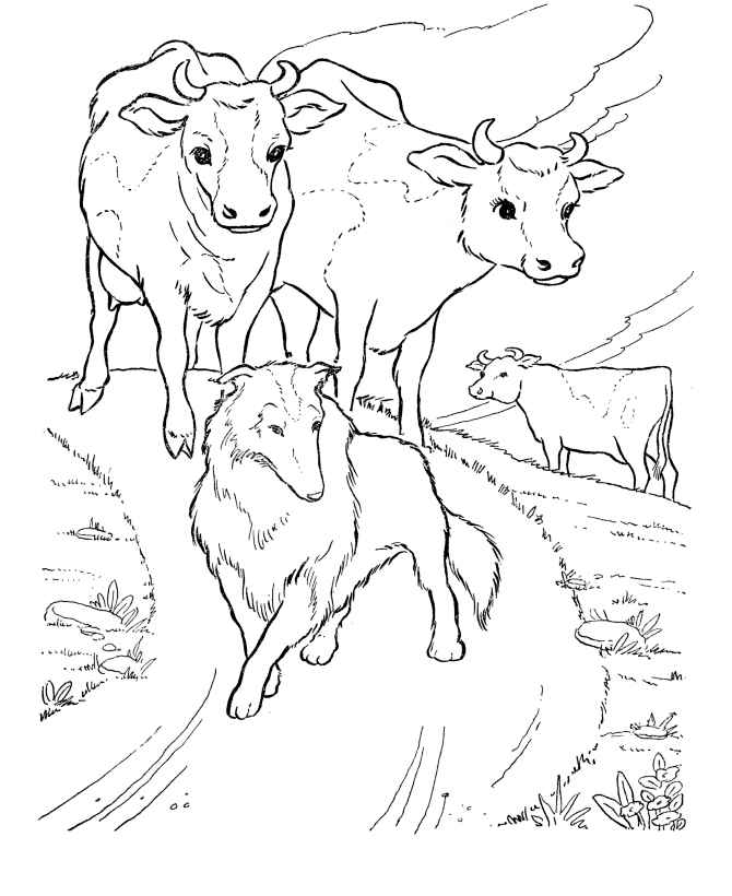 Desenho de Vaca Desenho Colorir Imprimir 22