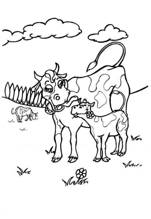 Desenho de Vaca Desenho Colorir Imprimir 23