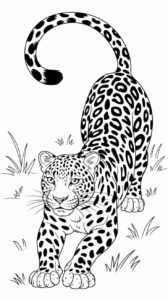 Desenho de Onça Desenho Colorir Imprimir 02