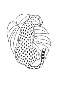 Desenho de Onça Desenho Colorir Imprimir 18