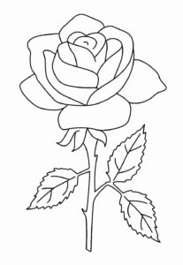 Desenho de Rosa Desenho Colorir Imprimir 10