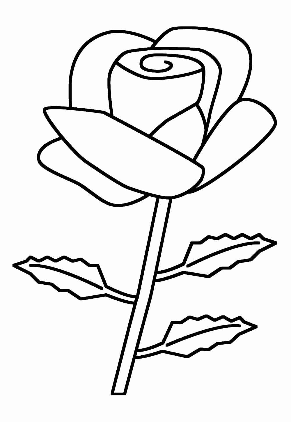 Desenho de Rosa Desenho Colorir Imprimir 11