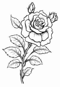 Desenho de Rosa Desenho Colorir Imprimir 14