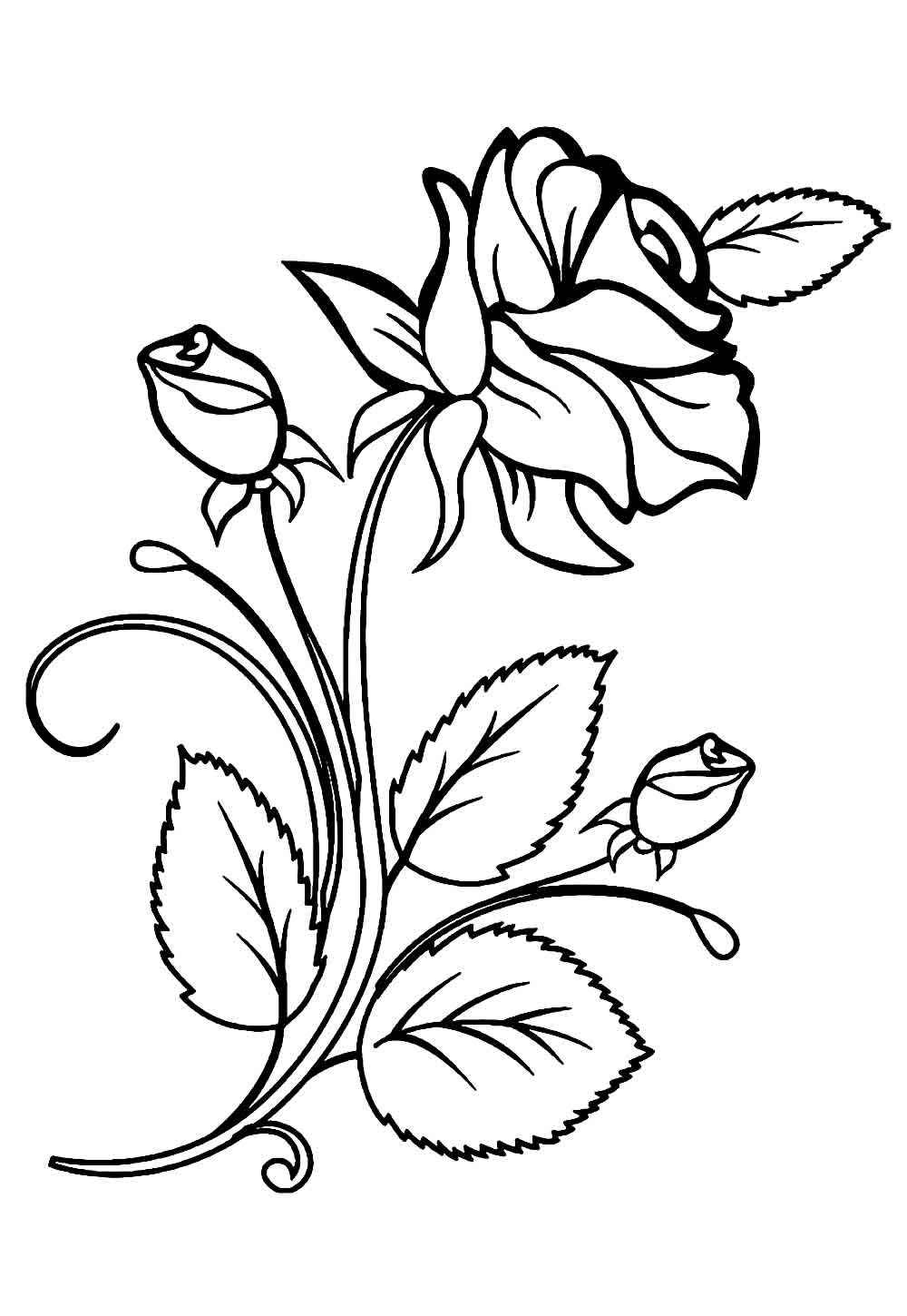 Desenho de Rosa Desenho Colorir Imprimir 16