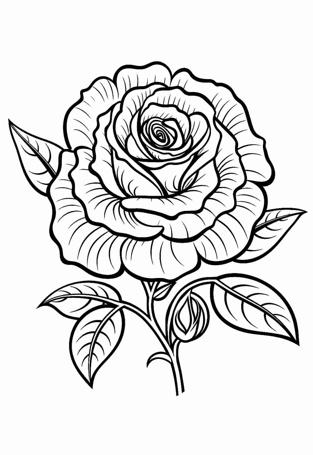 Desenho de Rosa Desenho Colorir Imprimir 21