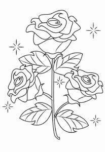 Desenho de Rosa Desenho Colorir Imprimir 22