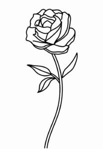 Desenho de Rosa Desenho Colorir Imprimir 26