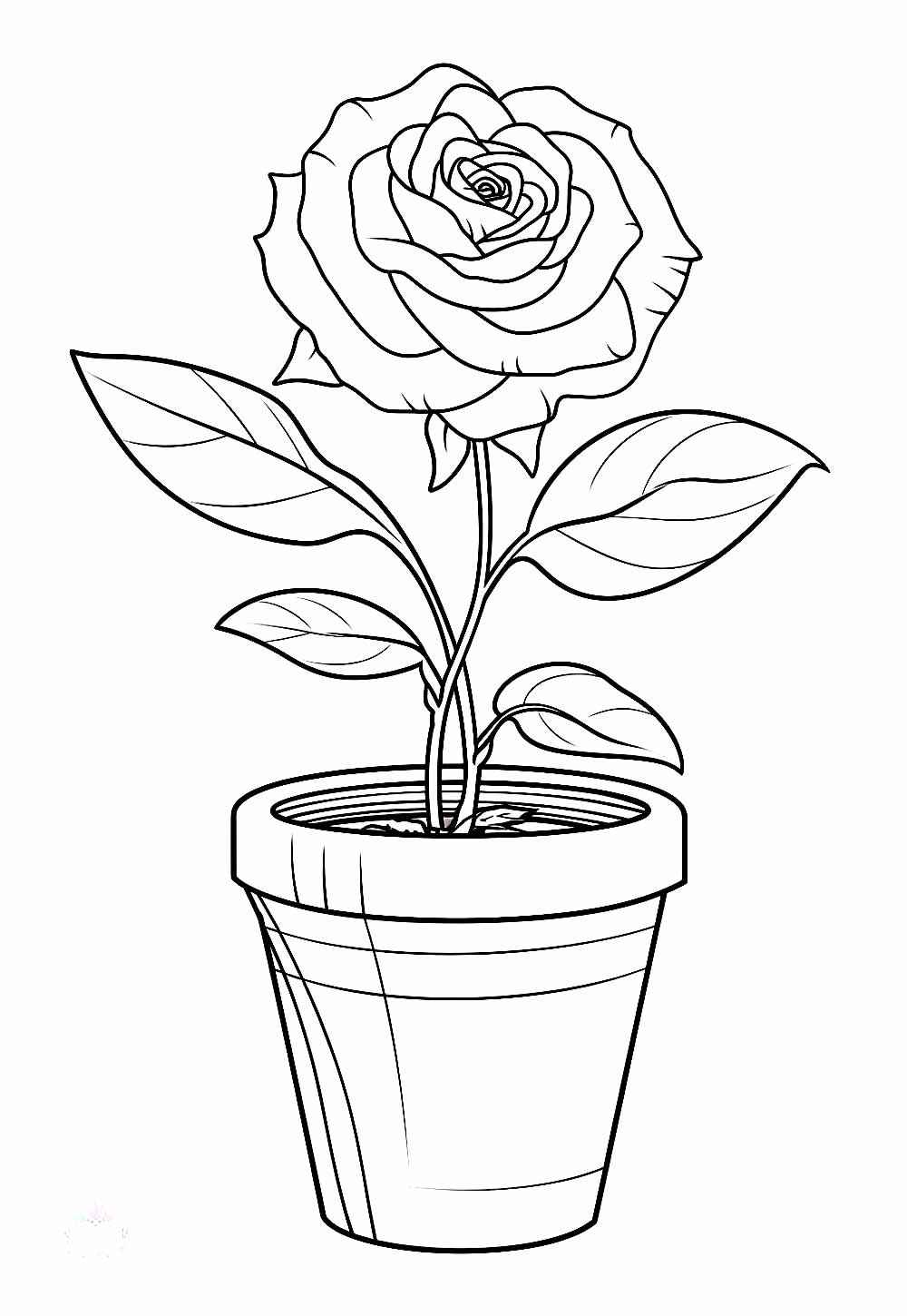 Desenho de Rosa Desenho Colorir Imprimir 29