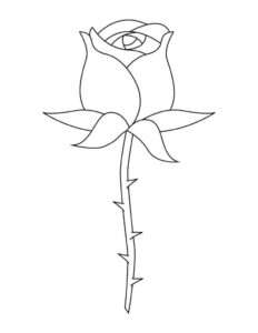 Desenho de Rosa Desenho Colorir Imprimir 37