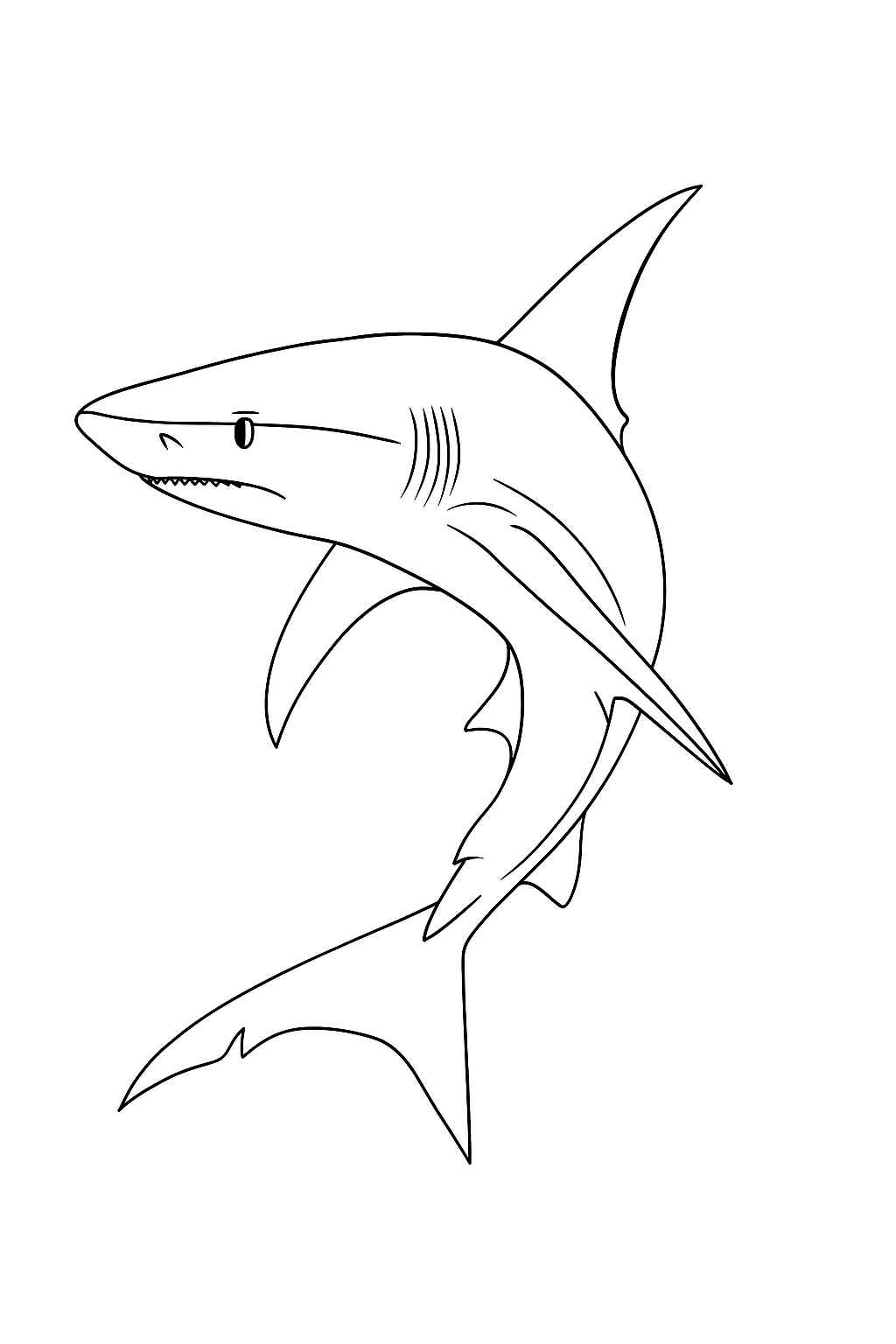 Desenho de Tubarao Desenho Colorir Imprimir 10