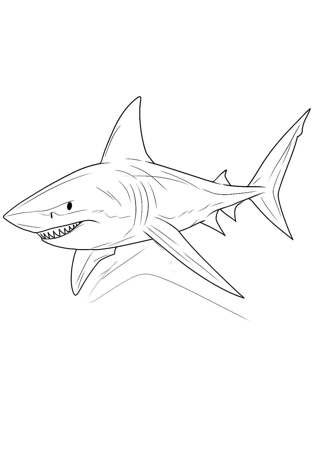 Desenho de Tubarao Desenho Colorir Imprimir 12