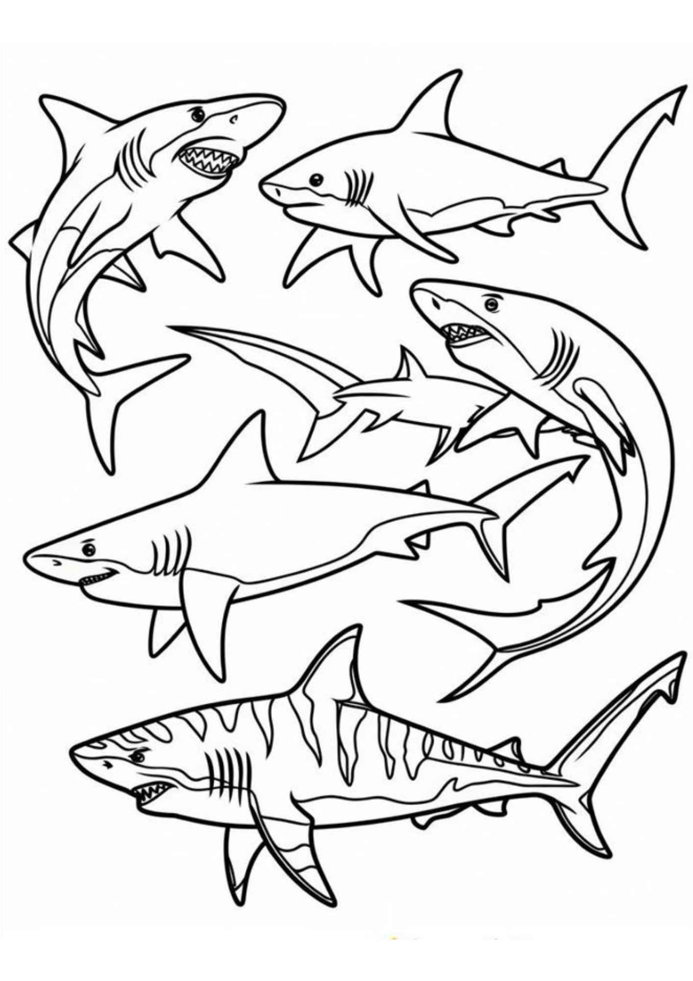 Desenho de Tubarao Desenho Colorir Imprimir 15