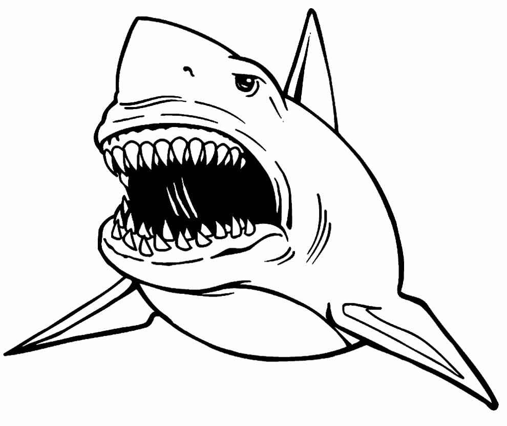 Desenho de Tubarao Desenho Colorir Imprimir 32