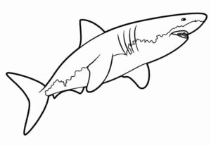 Desenho de Tubarao Desenho Colorir Imprimir 33