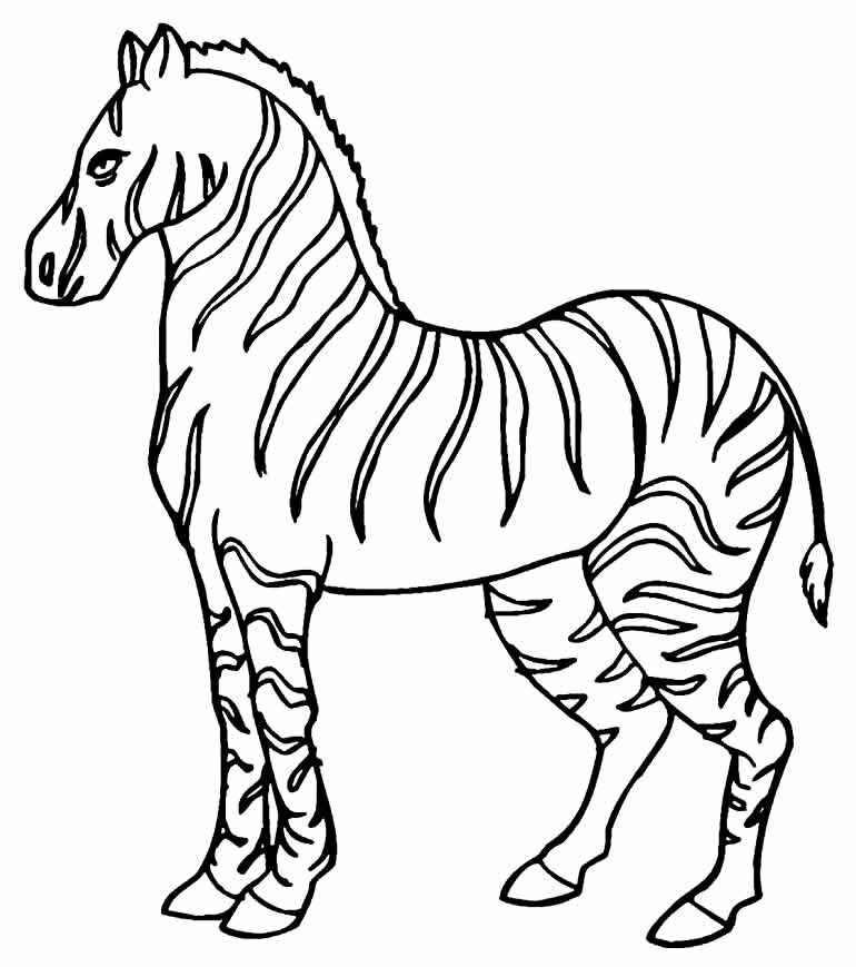 Desenho de Zebra Desenho Colorir Imprimir 14