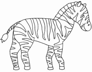 Desenho de Zebra Desenho Colorir Imprimir 15