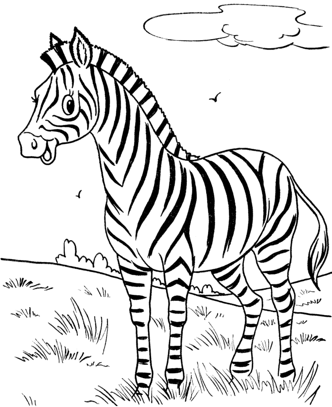Desenho de Zebra Desenho Colorir Imprimir 22