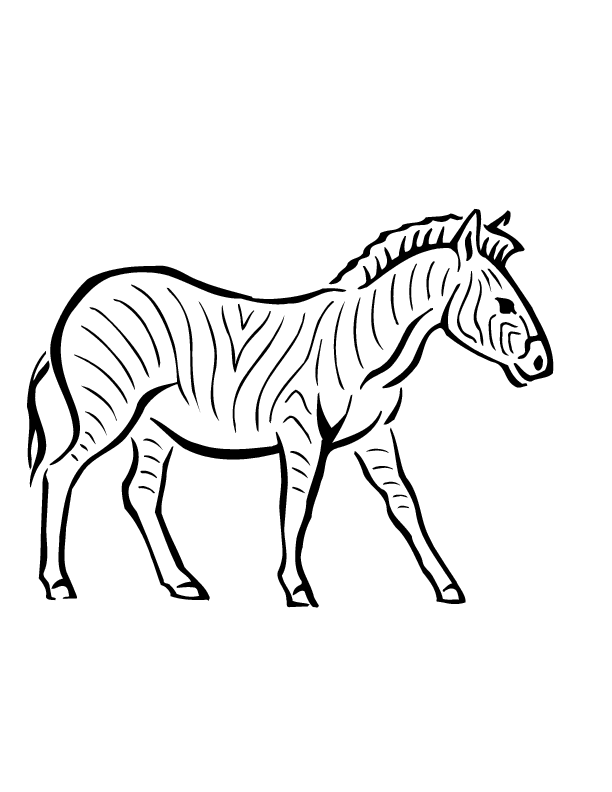 Desenho de Zebra Desenho Colorir Imprimir 24