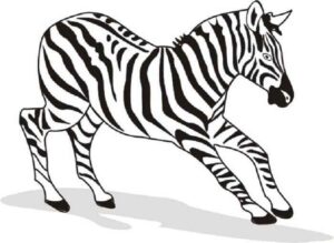 Desenho de Zebra Desenho Colorir Imprimir 26