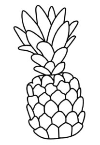 Desenho de Abacaxi Desenho Colorir Imprimir 24